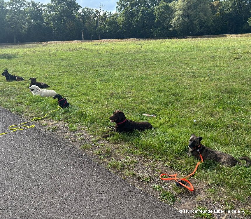 2025-07-13 Training 1