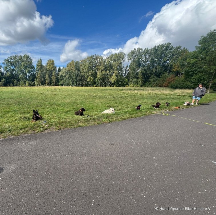 2025-07-13 Training 2