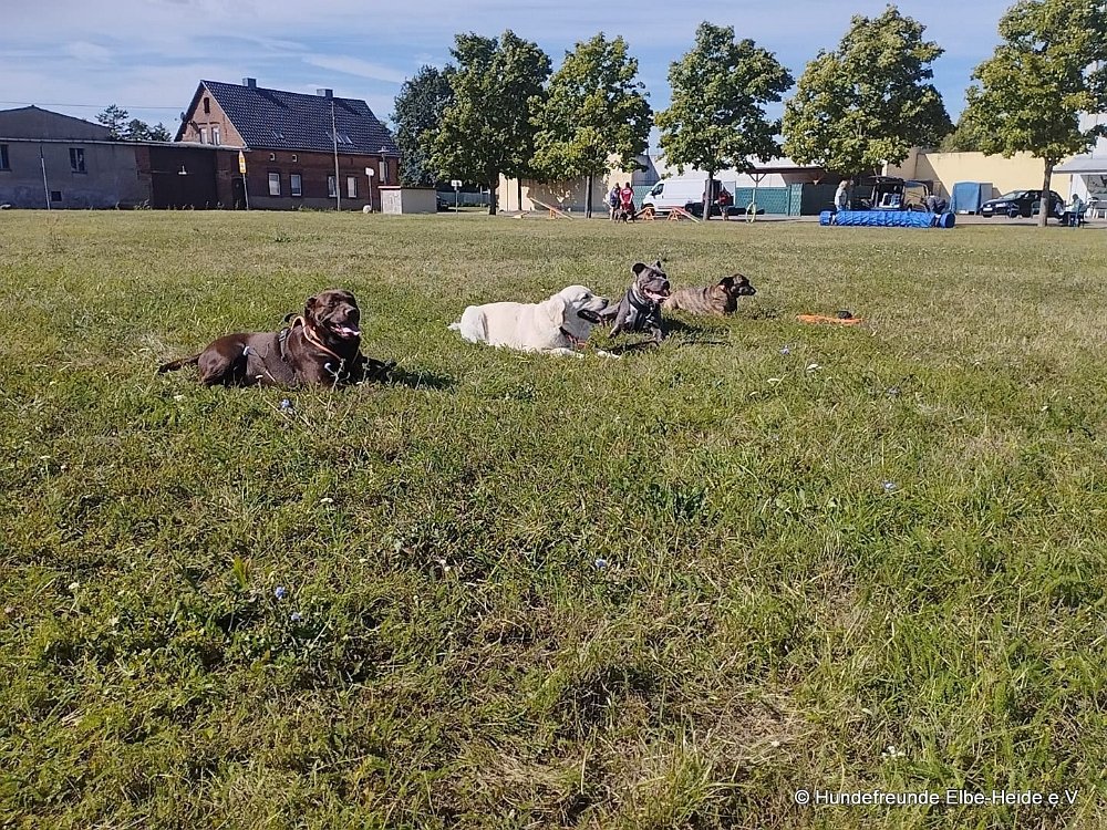 2025-07-13 Training 3