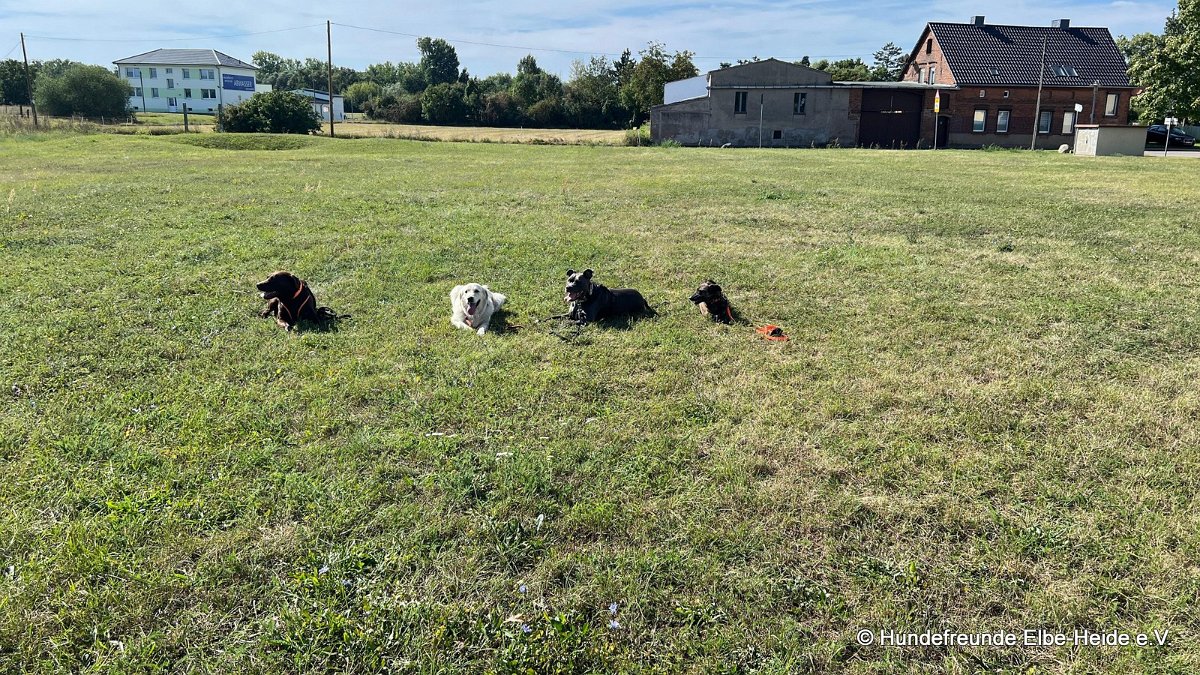 2025-07-13 Training 4