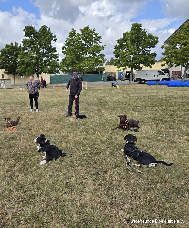 2025-07-13 Training 5