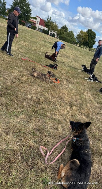 2025-07-13 Training 7