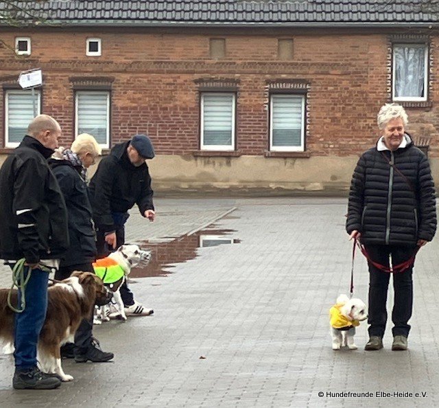 2025-11-02 Training 2