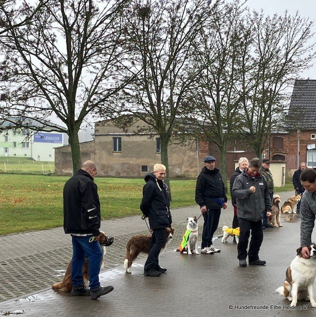 2025-11-02 Training 4