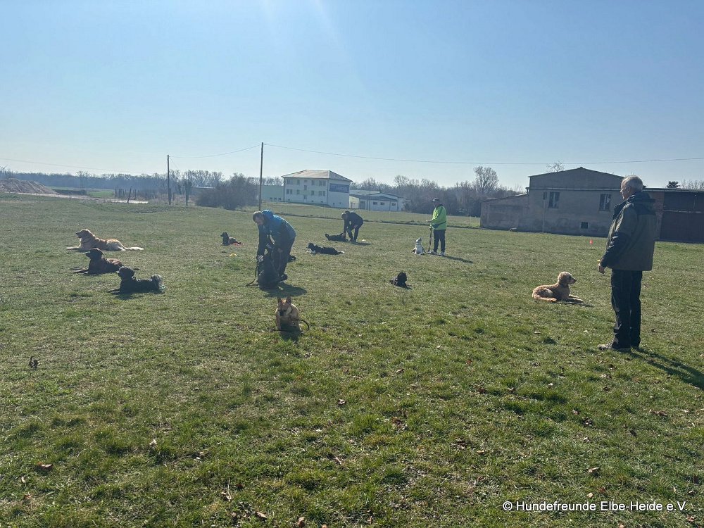 2026-03-22 Training 4