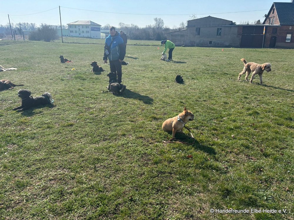 2026-03-22 Training 5