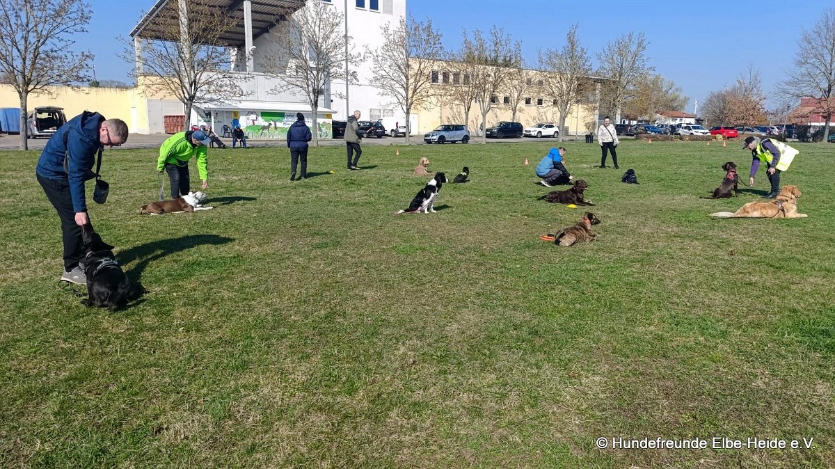 2026-03-22 Training 6