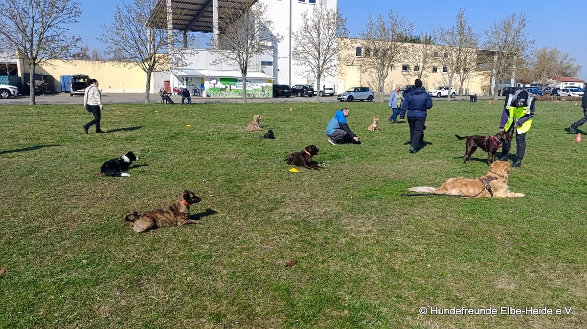 2026-03-22 Training 7