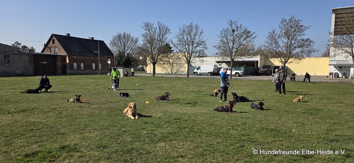 2026-03-22 Training 8