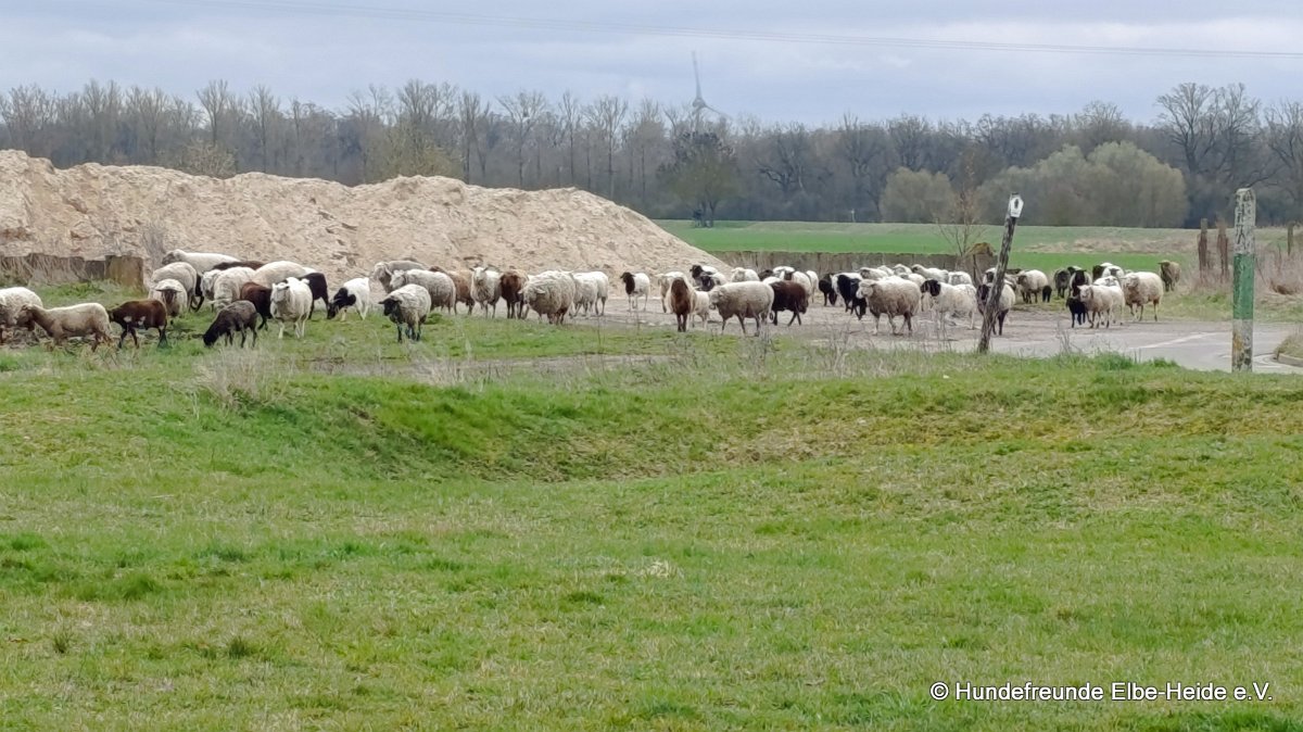 2026-03-29 Training 03