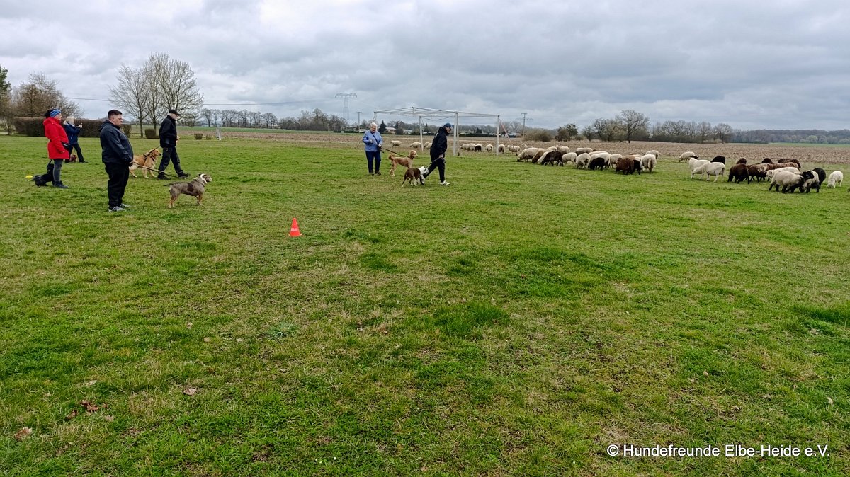 2026-03-29 Training 05