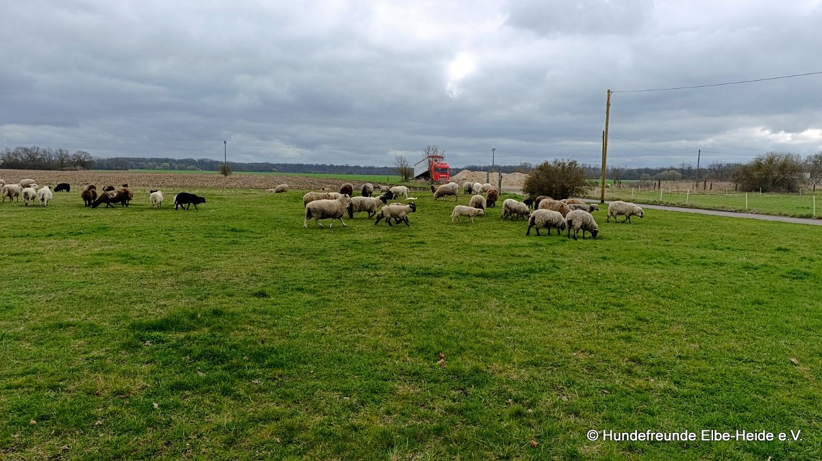 2026-03-29 Training 06