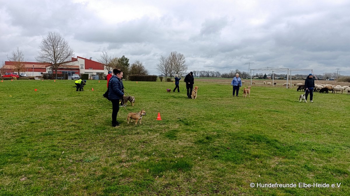 2026-03-29 Training 07