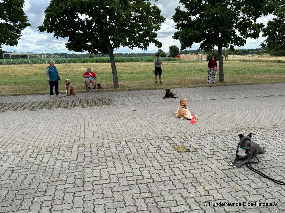 2026-07-05 Training 03