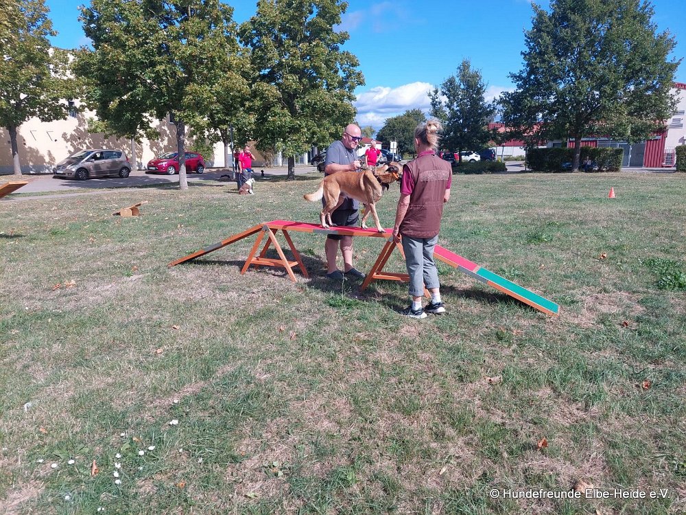 2026-08-30 Training 09