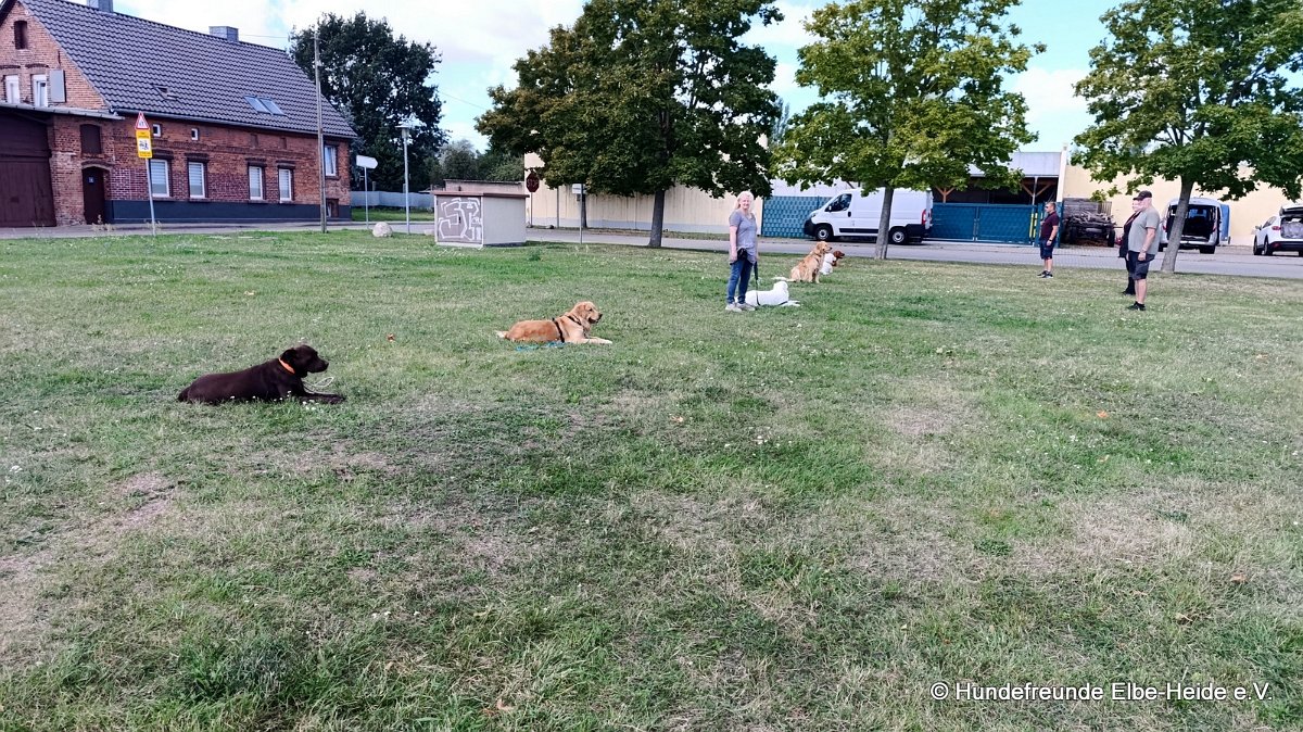 2026-09-06 Training 2