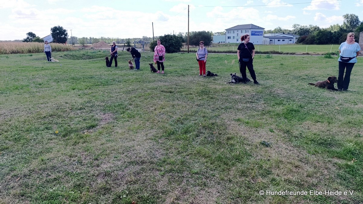 2026-09-06 Training 3