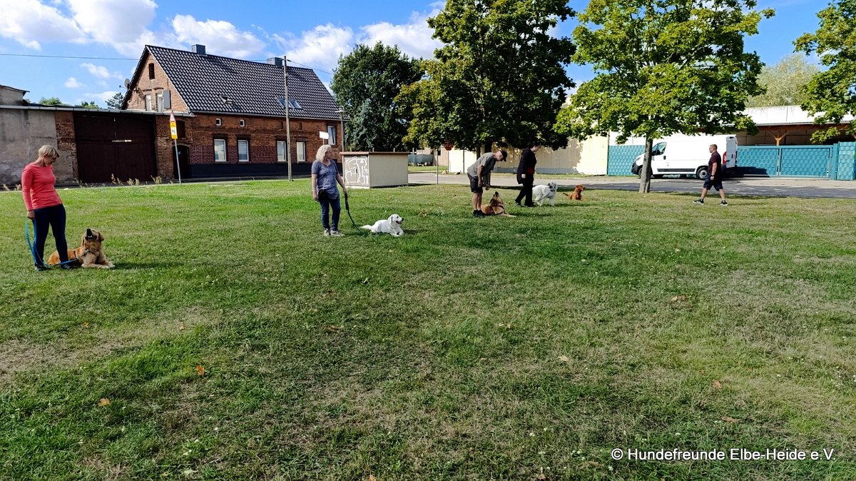 2026-09-06 Training 4