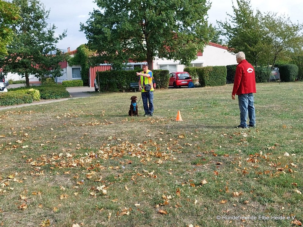 2026-09-13 Training 11