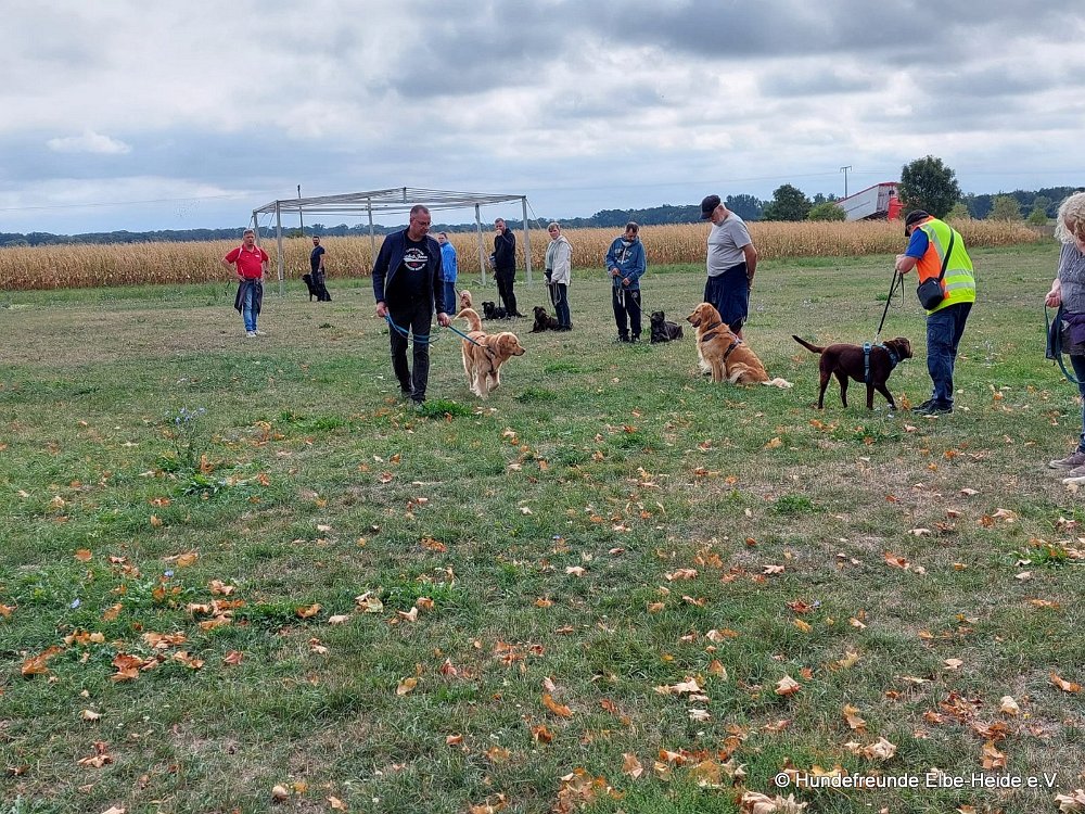 2026-09-13 Training 12