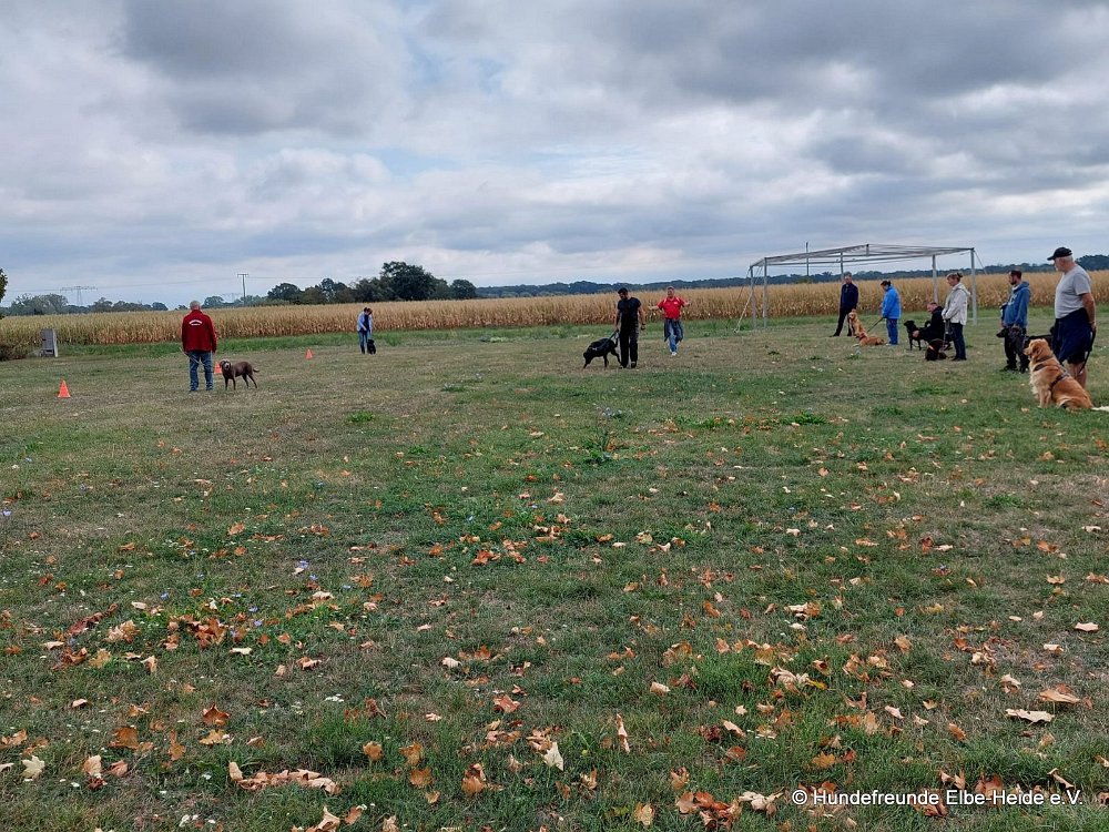 2026-09-13 Training 13