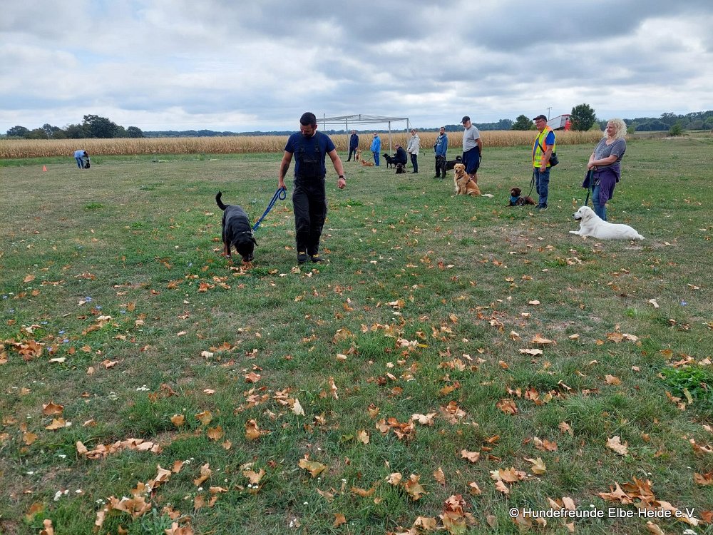 2026-09-13 Training 14