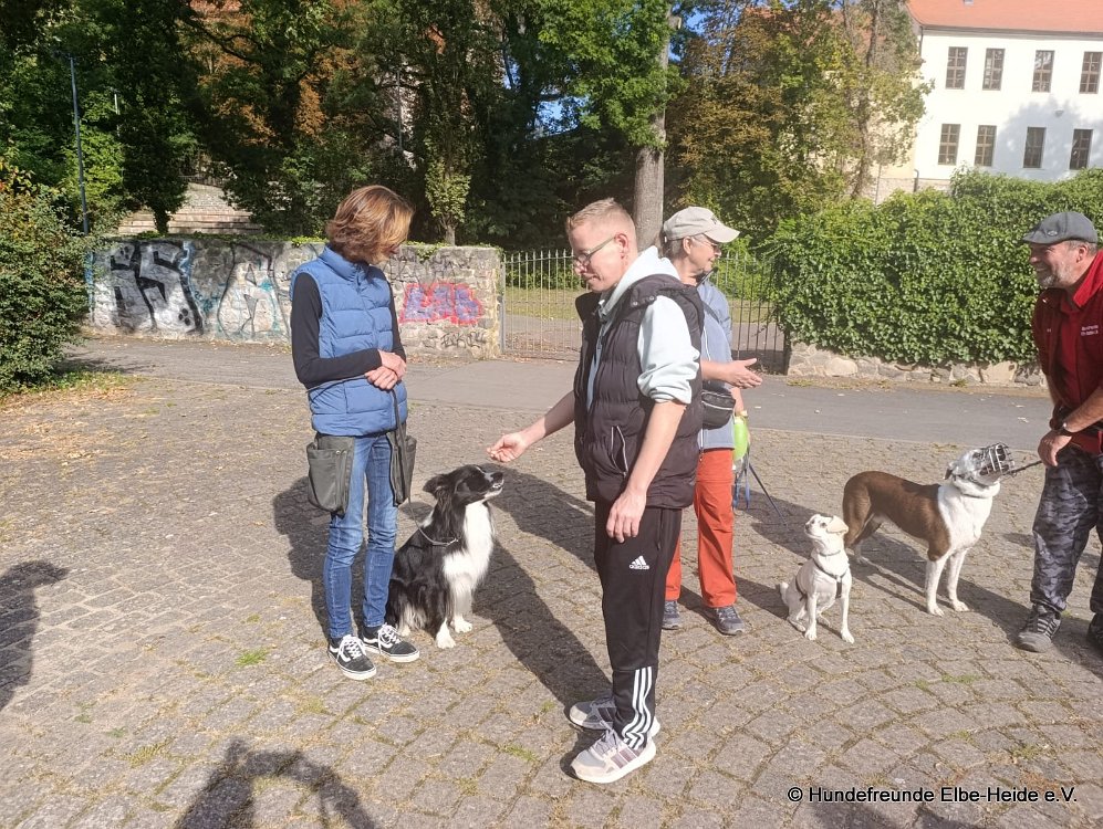 2026-09-27 Training u. Stadttraining 09