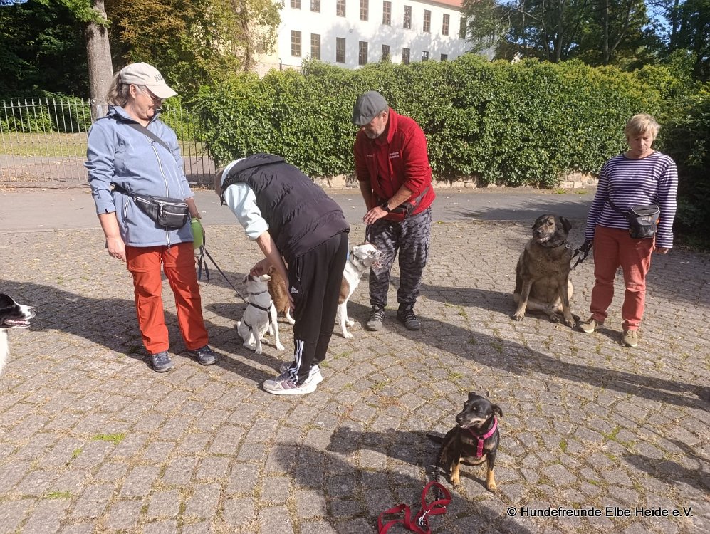 2026-09-27 Training u. Stadttraining 10