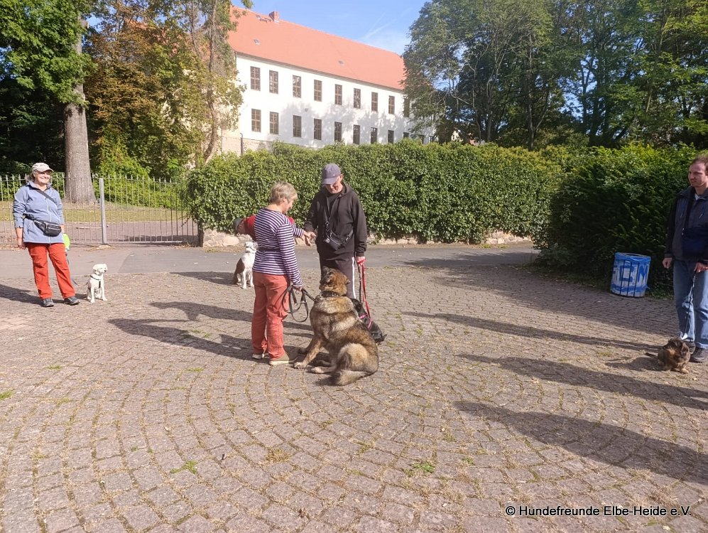 2026-09-27 Training u. Stadttraining 12