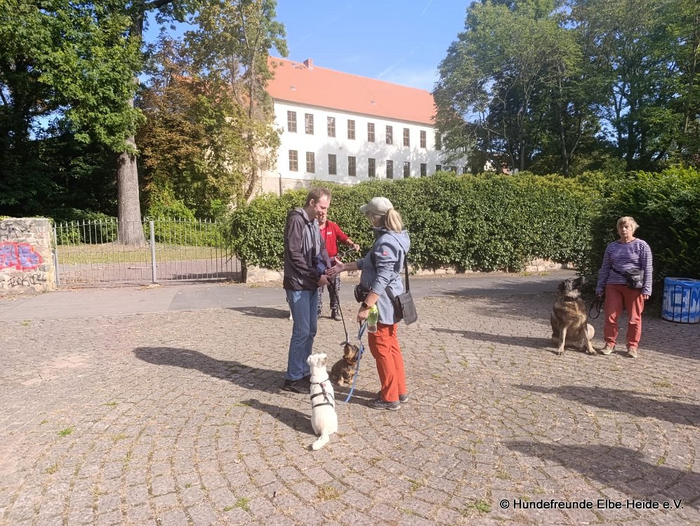 2026-09-27 Training u. Stadttraining 13