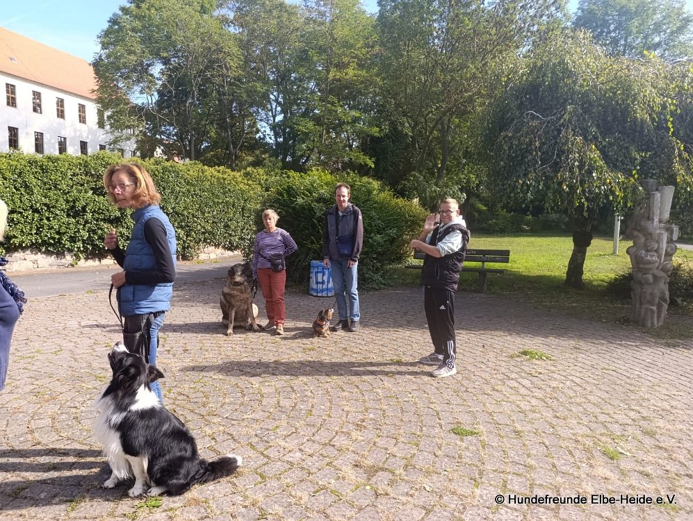 2026-09-27 Training u. Stadttraining 14