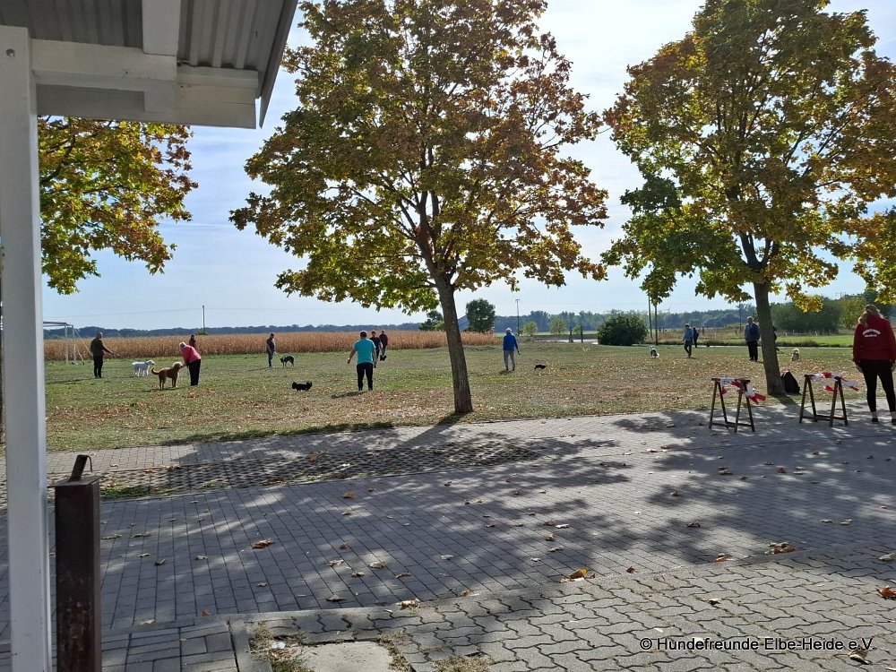 2026-09-27 Training u. Stadttraining 17
