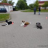 2025-05-04 Training 1