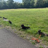 2025-07-13 Training 1