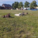 2025-07-13 Training 3