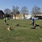 2026-03-22 Training 8