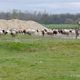 2026-03-29 Training 03