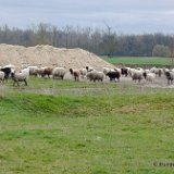 2026-03-29 Training 04