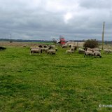 2026-03-29 Training 06