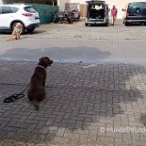 2026-06-22 Training 03