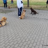 2026-07-05 Training 07