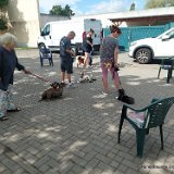 2026-08-30 Training 15
