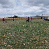 2026-09-13 Training 13