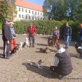 2026-09-27 Training u. Stadttraining 01