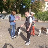 2026-09-27 Training u. Stadttraining 09