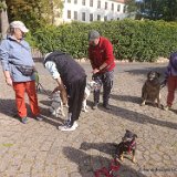 2026-09-27 Training u. Stadttraining 10