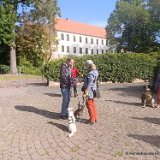 2026-09-27 Training u. Stadttraining 13