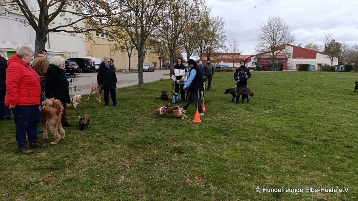 2026-04-03 Eierlauf 01