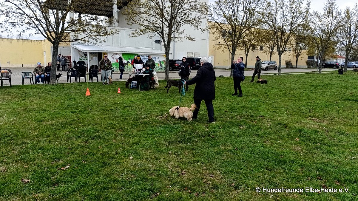 2026-04-03 Eierlauf 07