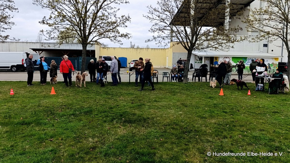 2026-04-03 Eierlauf 08